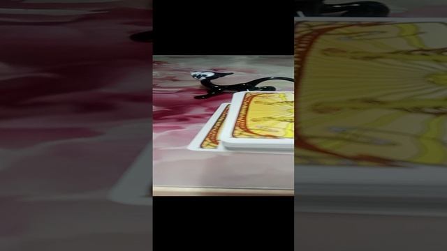 Что Она думает🫣Что Она хочет