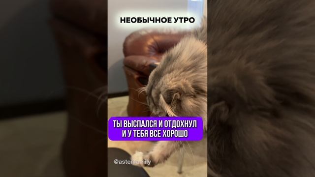 Необычное утро