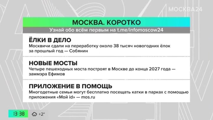 Новости часа: жители столицы сдали на переработку почти 40 тыс елок за 2024 год