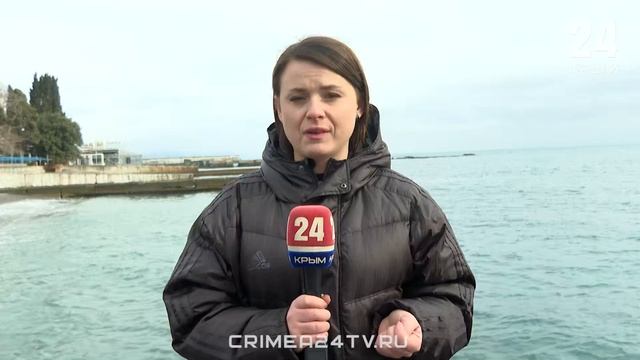 В море и на суше: как в Алуште помогают пострадавшим от мазута птицам