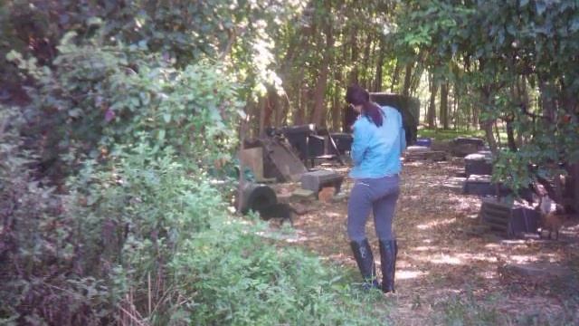 Caring for a Feral Cat Colony Kitten | Freya's Cat Rescue | Manalapan, NJ 2016 #trailcam #shorts