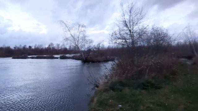 Рыбалка осенью на фидер.Канал СУГРЭС.