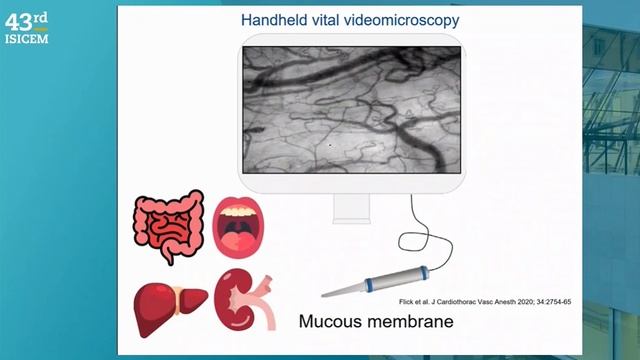 MONITORING THE MICROCIRCULATION IN THE SURGICAL PATIENT (ISICEM 2024)