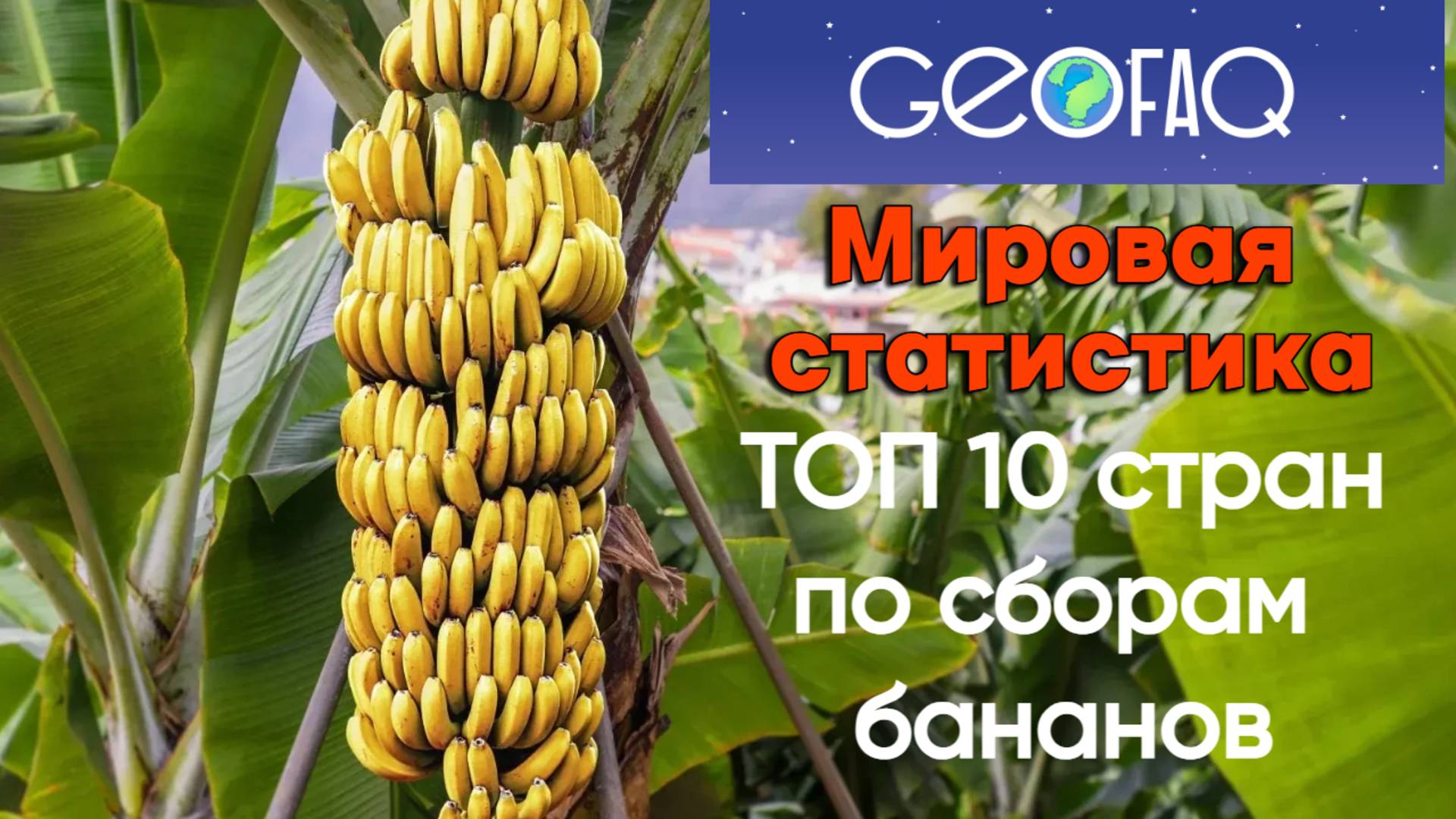 ТОП 10 стран по сборам бананов