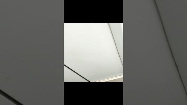 катание 2
