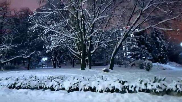 Замело старый сад_стихи  Лариса Адианова
