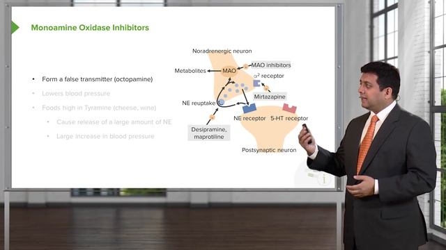 01.07 Postganglionic Sympathetic Nerve Terminal Blockers and Monoamine Oxidase Inhibitors