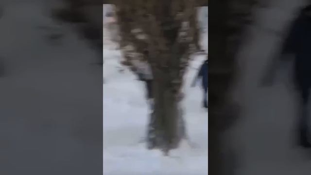 заблудились