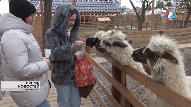 В парке альпак в волгоградском ЦПКиО ждут пополнения