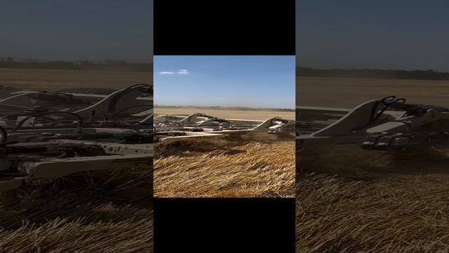 сравнение работы аналог Horsh Tiger от Razor Сармат