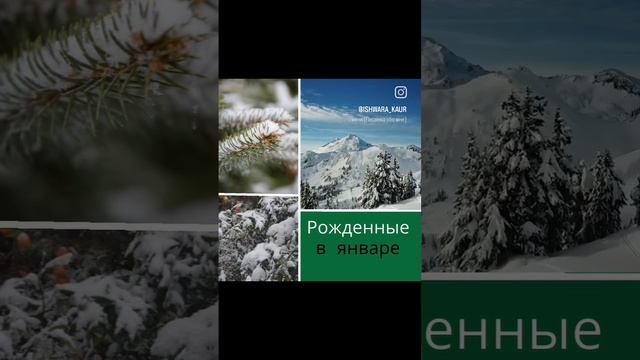 Рожденные в январе.mp4