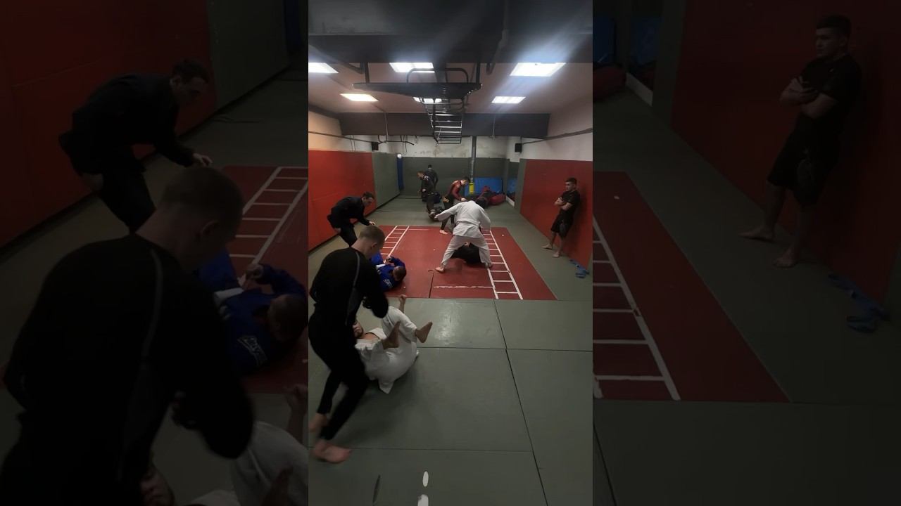 Джиу-джитсу Красноярск. Тренировка в клубе Максимум #bjj