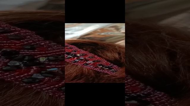1000131537.mp4