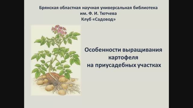 Лекция «Особенности выращивания картофеля на приусадебных участках»