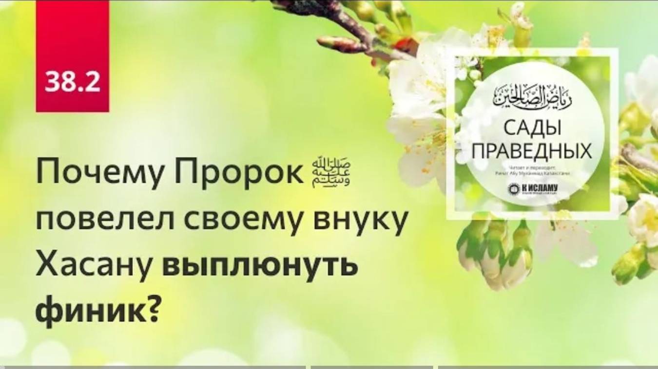 38.2 Почему Пророк ﷺ повелел своему внуку Хасану выплюнуть финик Сады праведных. Ринат Абу Мухаммад