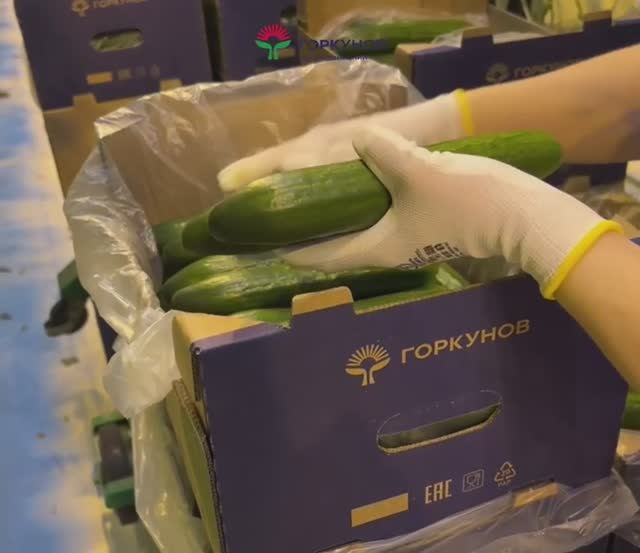 От семечки до фасовки