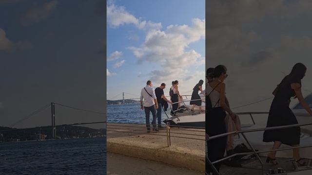 13233655-hd_1080_1920_60fps