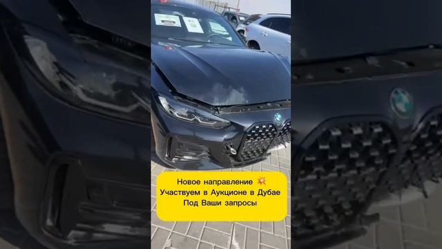 Аукционы участвуем выбираем
