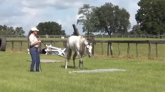 How to Train a Spooky Horses with Obstacles