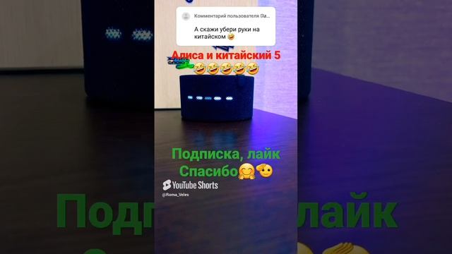 Алиса и Китайский🤣🤣🤣