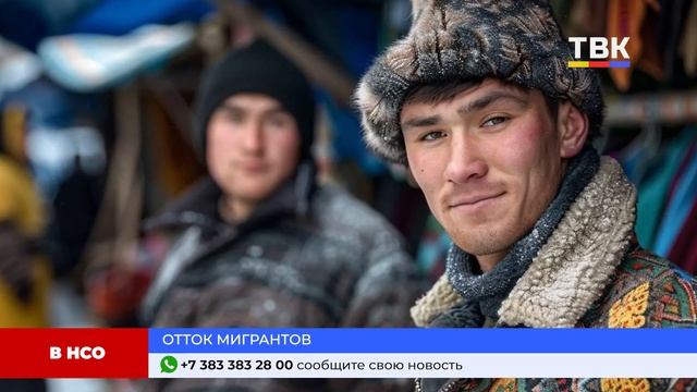 Программа "Дайджест" 15-01-25