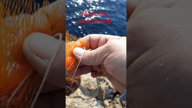 морская рыбалка 🐟 сарган на поплавок часть 6