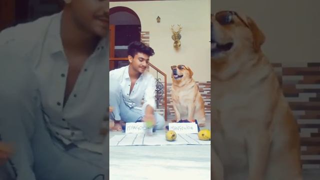 Best shopkeeper in the world🤣 | Smart dog Leo🐶 | Anant rastogi | #shorts