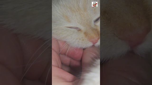 Добрый вечер от Настюни 🌜❤️😻