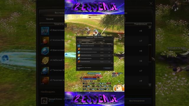 1й Черный Купон. Что забрал на основе??? Lineage 2 Essence - PVEfun