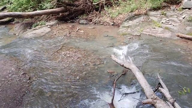 "Земля Леопарда" Кравцовские водопады