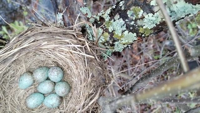 Маленький секрет.