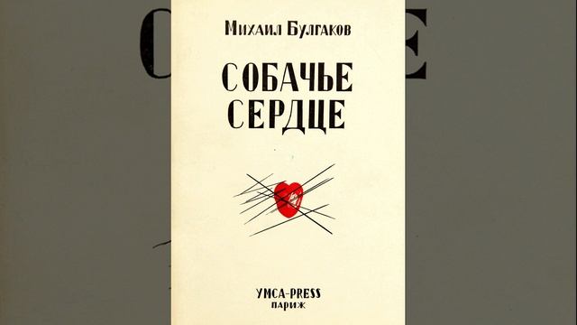 Собачье сердце. Повесть Михаила Булгакова. Краткое содержание.