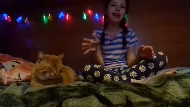 Кот научился говорить.?