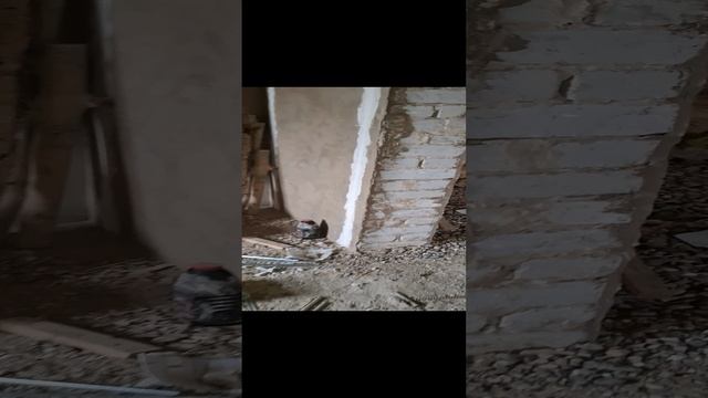 штукатурка под маяк  хизмати тел 33.940.91.40