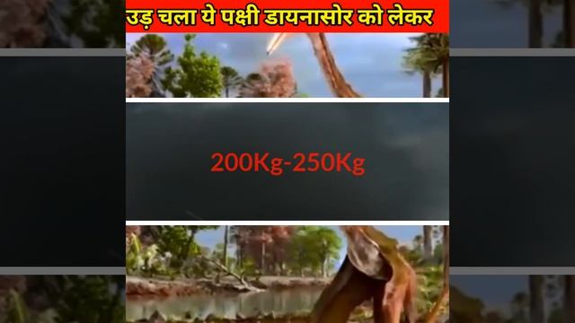 OMG😱 ये पक्षी तो डायनासोर को अपनी चोंच में दबाकर उड़ जाती है 🔥 Quetzalcoatlus vs Dinosaur #shorts