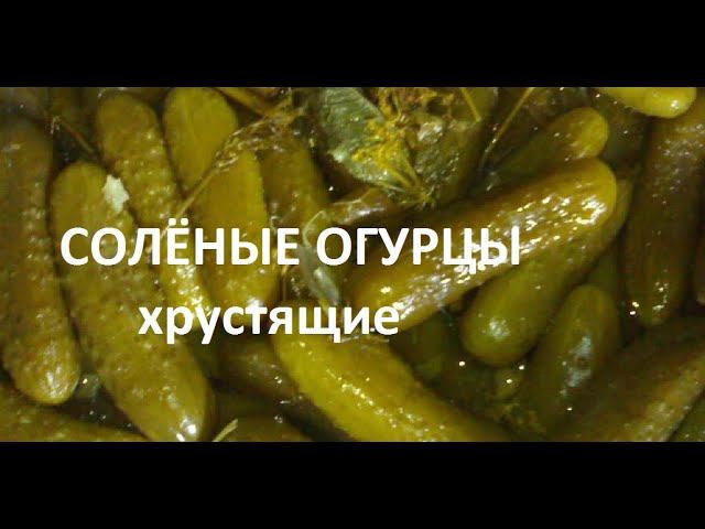 Соленые огурцы - рецепт.