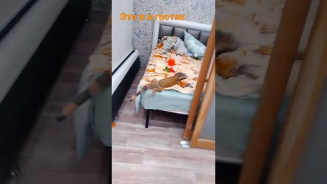 ЭТО Я В ГОСТЯХ