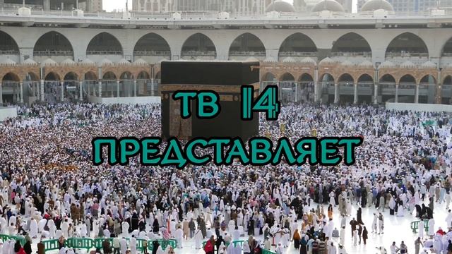 Заставка ТВ 14