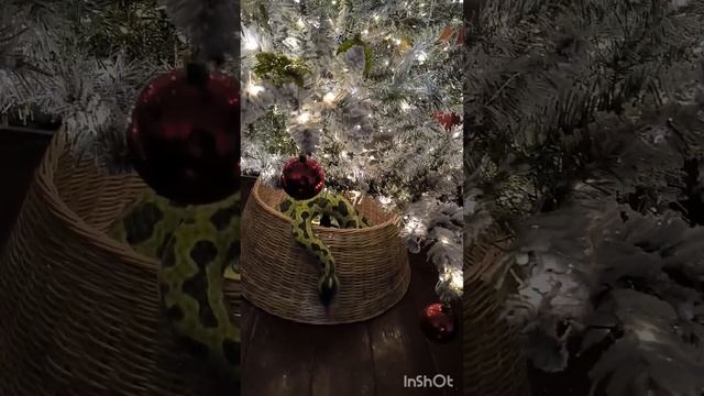 Наша елочка