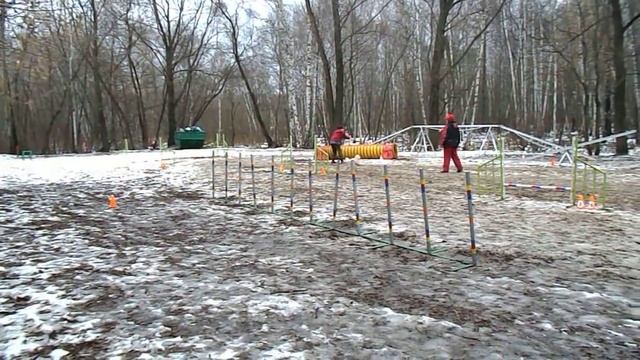 Шульга. Сокольники. ГПА. 05.12.2015. Прогресс