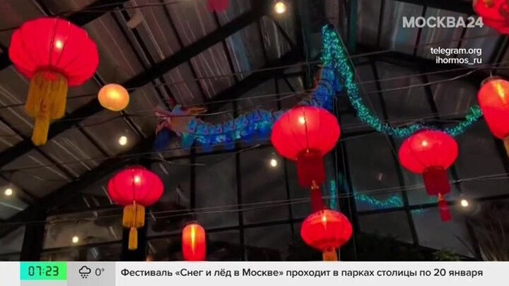 "Аптекарский огород" украсили к празднованию китайского Нового года
