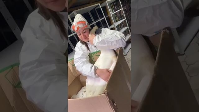 Клип @spastv