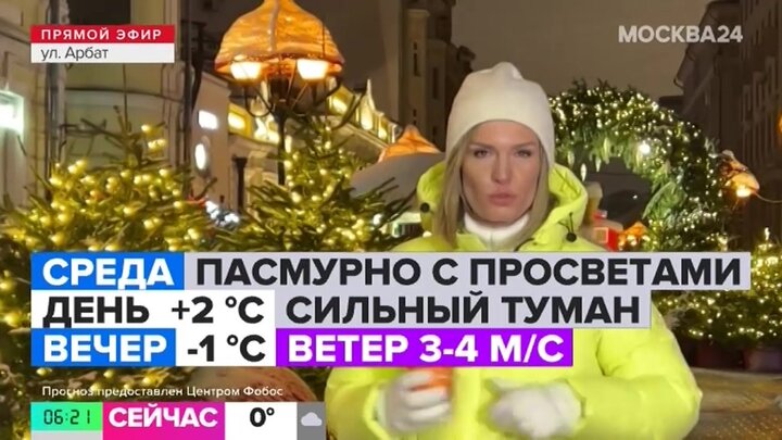 "Утро": скорость ветра в Москве составит 3–6 м/с 15 января