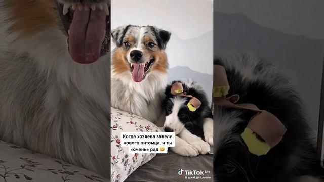 в҉о҉т҉ к҉а҉к҉ т҉о҉ т҉а҉к҉ м҉о҉ж҉н҉о҉ п҉е҉р҉в҉о҉е҉ в҉и҉д҉е҉о҉