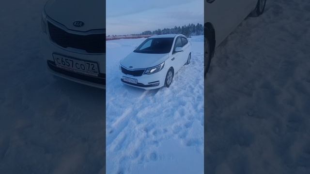 Kia Rio 2017 год