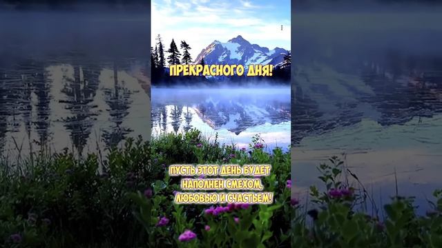 Хорошего дня