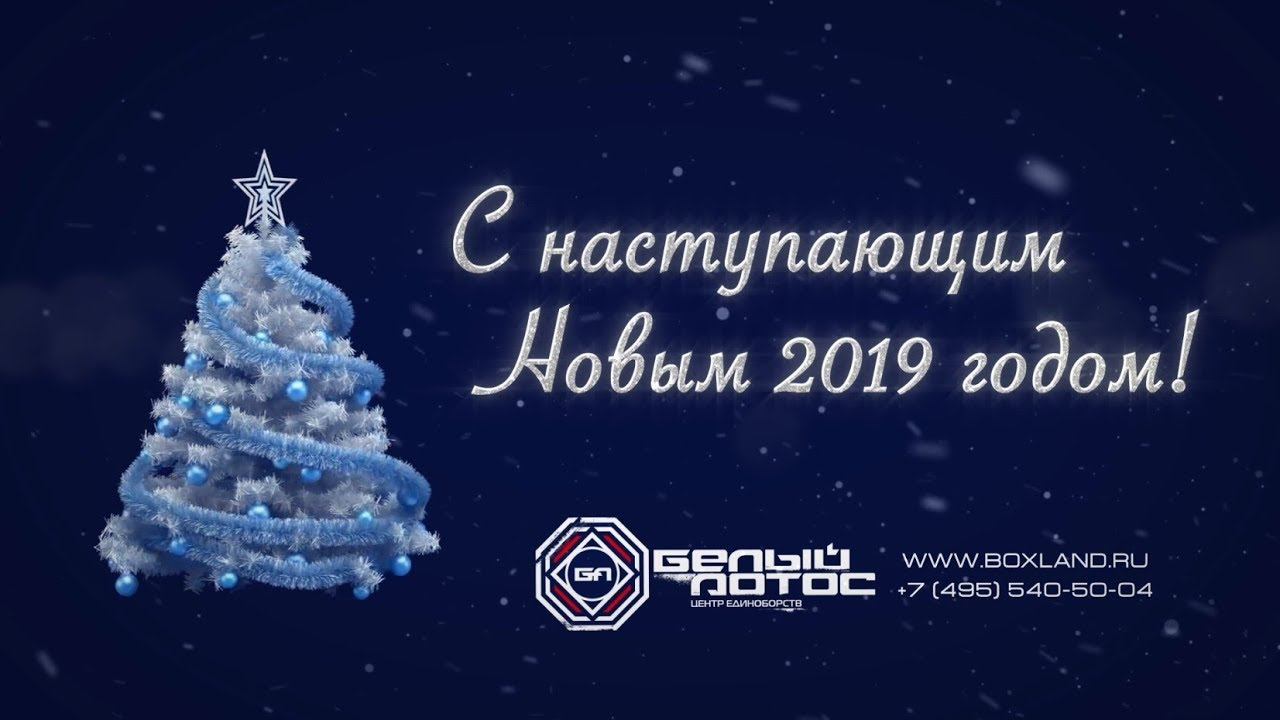 Коллектив "Белого Лотоса" поздравляет всех с наступающим 2019-ым годом!