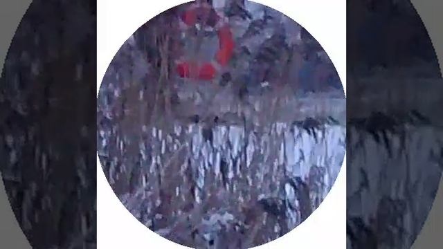 15-01-2025