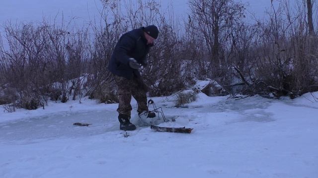 Капканы на бобра. Снимаю капканы на бобра, а там....