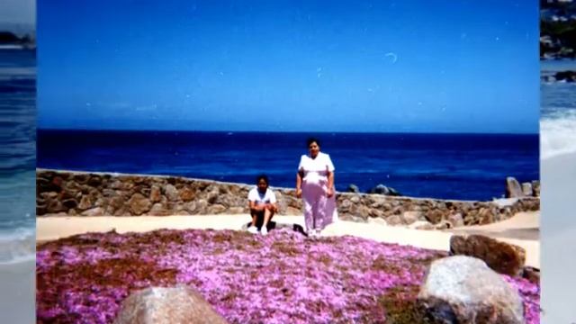 La Rosa mas Hermosa Rosa Araiza